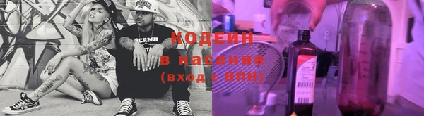 молекула духа Осташков