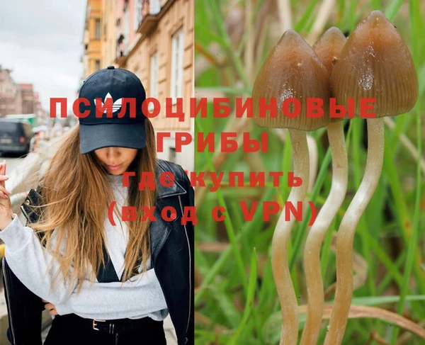 ПСИЛОЦИБИНОВЫЕ ГРИБЫ Остров