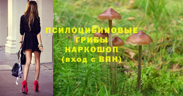 ПСИЛОЦИБИНОВЫЕ ГРИБЫ Остров