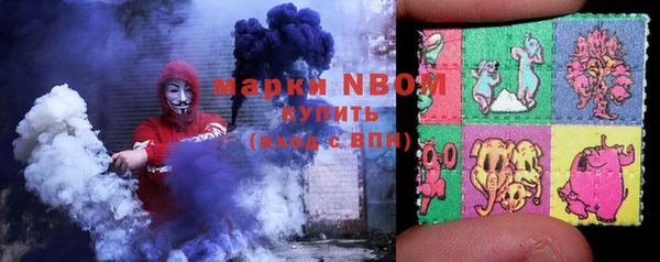 молекула духа Осташков