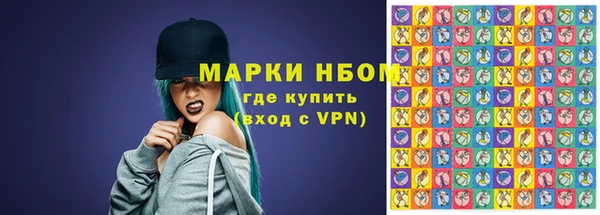 молекула духа Осташков