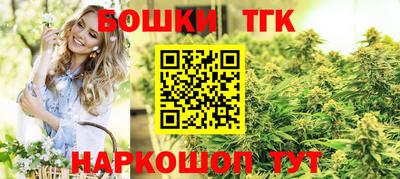 spice Гусев