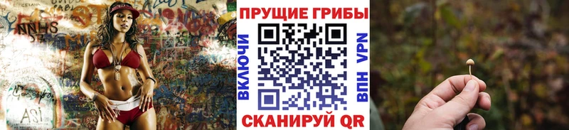 Галлюциногенные грибы Magic Shrooms  где купить наркоту  Михайловск 
