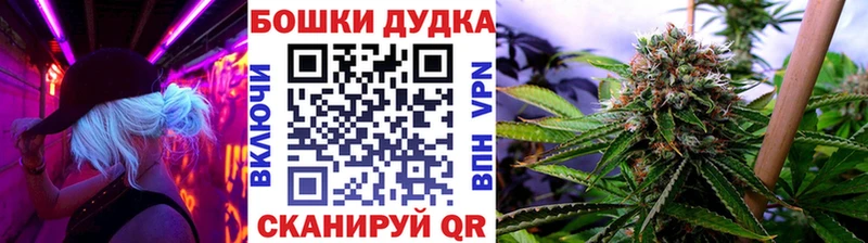 shop как зайти  где купить наркоту  Михайловск  Конопля тримм 